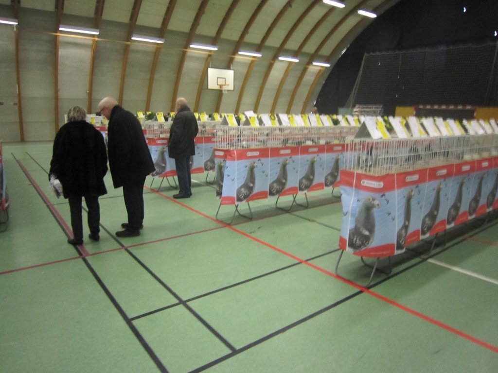 sektionsudstilling i Hoptrup, 012