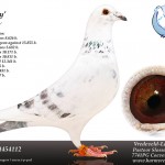 NL14-1454112 TOMMY