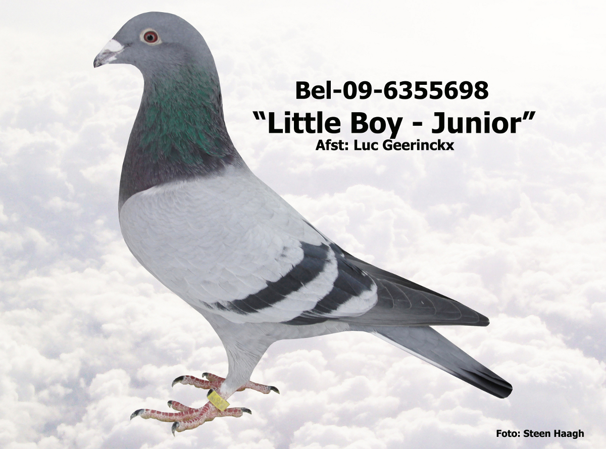 BEL-09-6355698