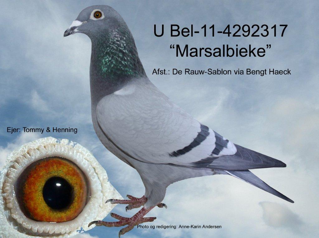 BEL-11-4292317