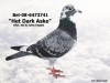 BEL-08-6373741
