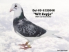 BEL-09-6326068