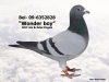 BEL-09-6352828