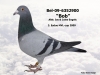 BEL-09-6352900
