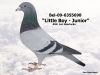 BEL-09-6355698