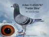 BEL-11-6326787