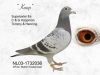 Nl-03-1732036