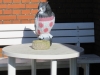 forr_2011_010
