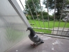 hunner__15.aug._2010_005