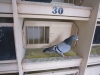 hunner__15.aug._2010_009