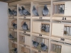 normal_Flyveslagene_004_1200