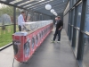 pipaauktion_2011_i_haderslev_001
